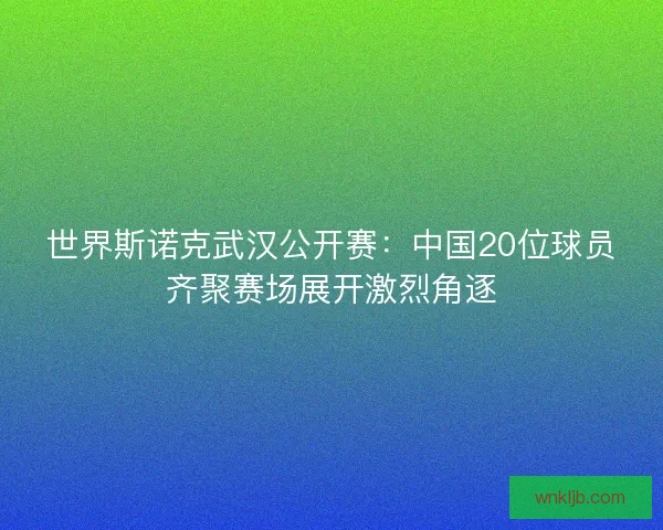 世界斯诺克武汉公开赛：中国20位球员齐聚赛场展开激烈角逐