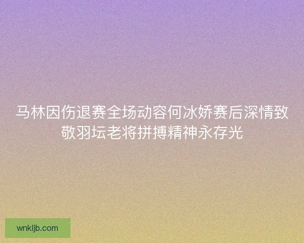 马林因伤退赛全场动容何冰娇赛后深情致敬羽坛老将拼搏精神永存光
